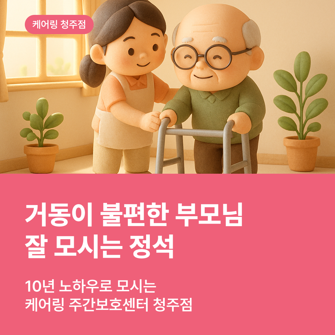 거동이 불편한 부모님 잘 모시는 정석 (10년 노하우) : 청주 주간보호센터 